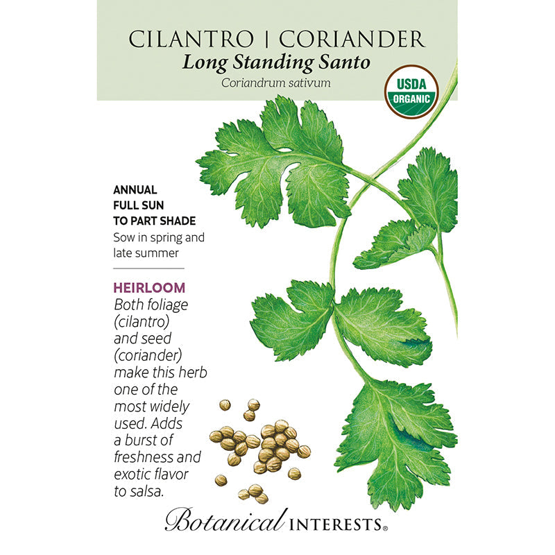 Cucumber Spacemaster