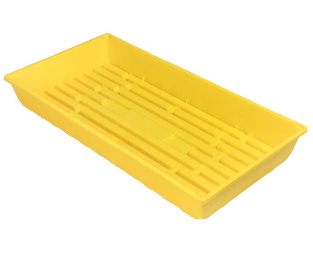 Tomato Bush Roma Italian Org