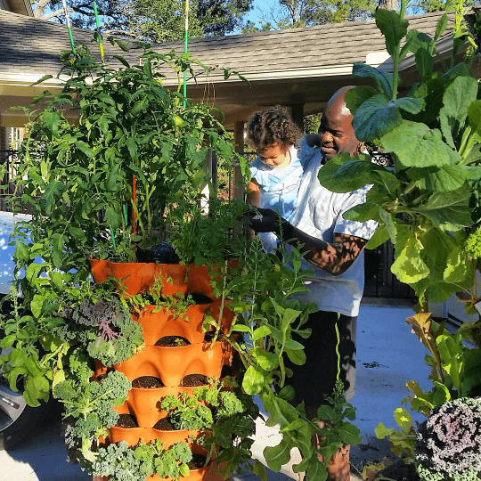Kids Seed Collection