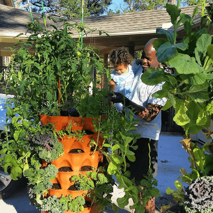 Kids Seed Collection