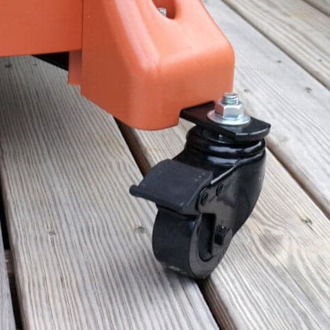 Sunflower Dwf Teddy Bear