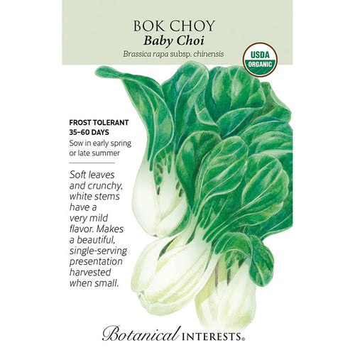 Bok Choy Baby Choi Org