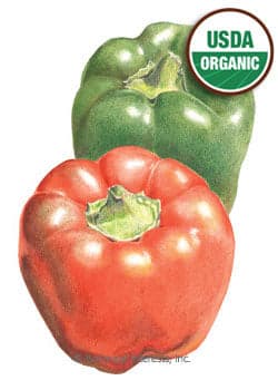 Bountiful Harvest Seed Collection - UPDATED