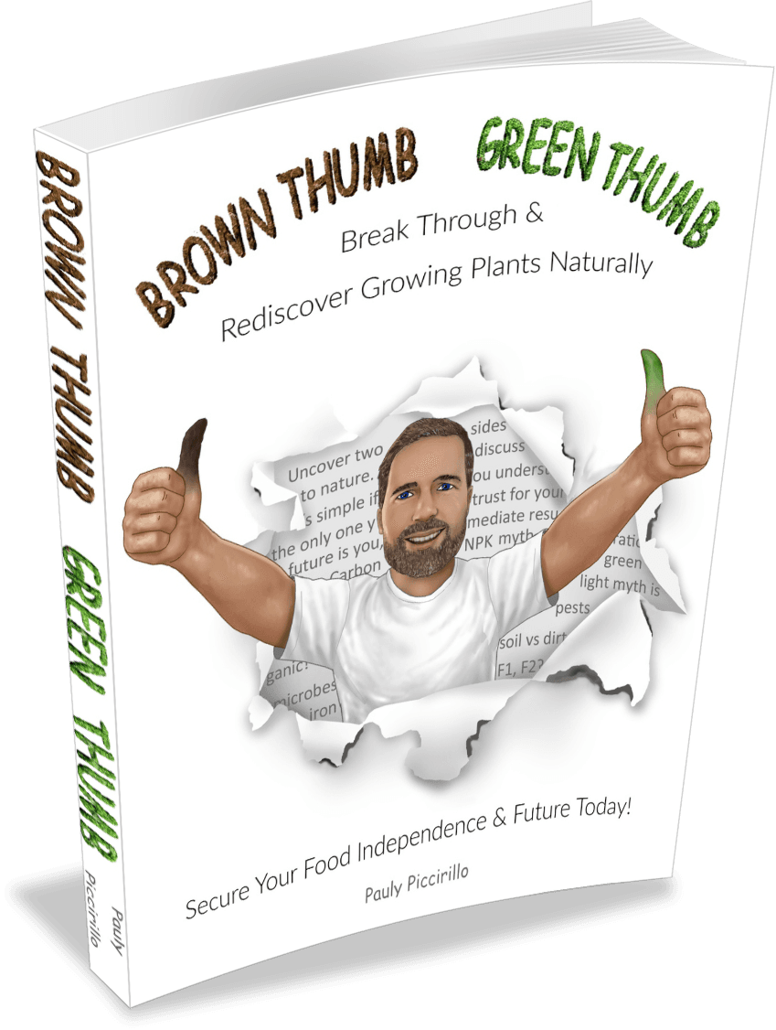 Nasturtium Trailing Single Blend