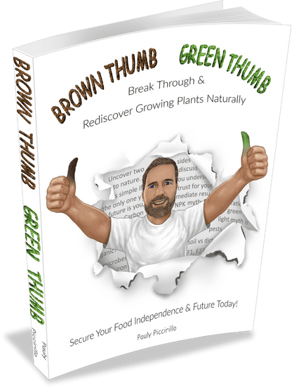 Nasturtium Trailing Single Blend