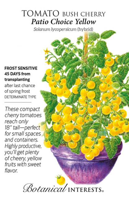 Kids Seed Collection