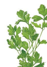 Moisture Indicator Refill core - set of 2 (Refill Core only)