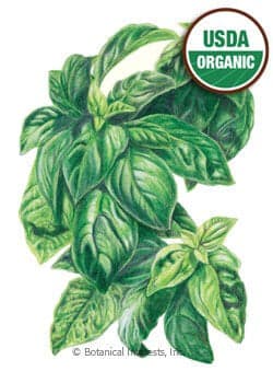 Moisture Indicator Refill core - set of 2 (Refill Core only)