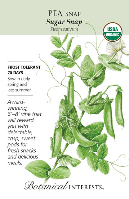 Kids Seed Collection