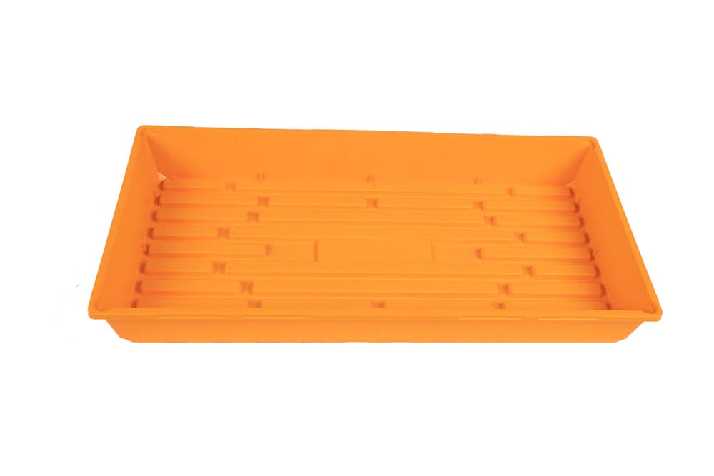 Tomato Bush Roma Italian Org