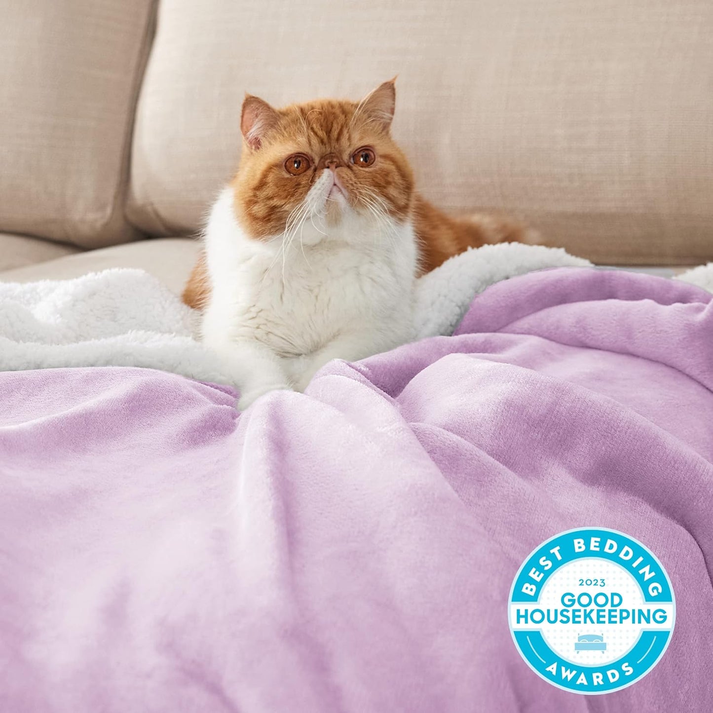 GentleSoft Sherpa Fleece Throw Blanket Twin Size for Couch - Thick and Warm Throw for Women and Men, Soft Fuzzy Plush Blanke for Winter, Grey, 60x80 Inches