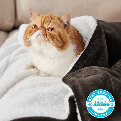 GentleSoft Sherpa Fleece Throw Blanket Twin Size for Couch - Thick and Warm Throw for Women and Men, Soft Fuzzy Plush Blanke for Winter, Grey, 60x80 Inches