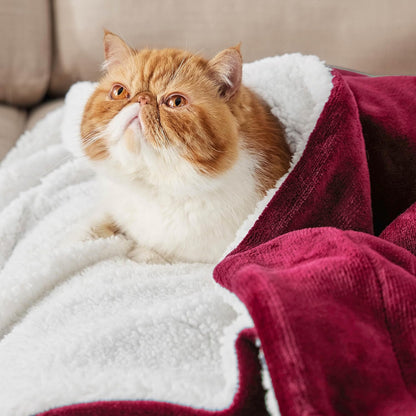 GentleSoft Sherpa Fleece Throw Blanket Twin Size for Couch - Thick and Warm Throw for Women and Men, Soft Fuzzy Plush Blanke for Winter, Grey, 60x80 Inches