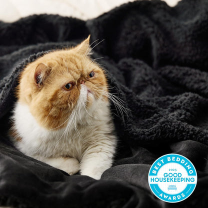 GentleSoft Sherpa Fleece Throw Blanket Twin Size for Couch - Thick and Warm Throw for Women and Men, Soft Fuzzy Plush Blanke for Winter, Grey, 60x80 Inches