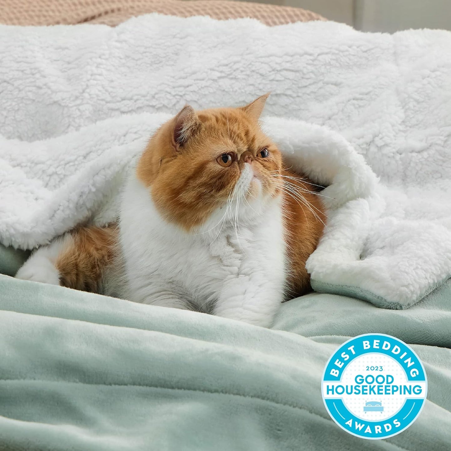 GentleSoft Sherpa Fleece Throw Blanket Twin Size for Couch - Thick and Warm Throw for Women and Men, Soft Fuzzy Plush Blanke for Winter, Grey, 60x80 Inches