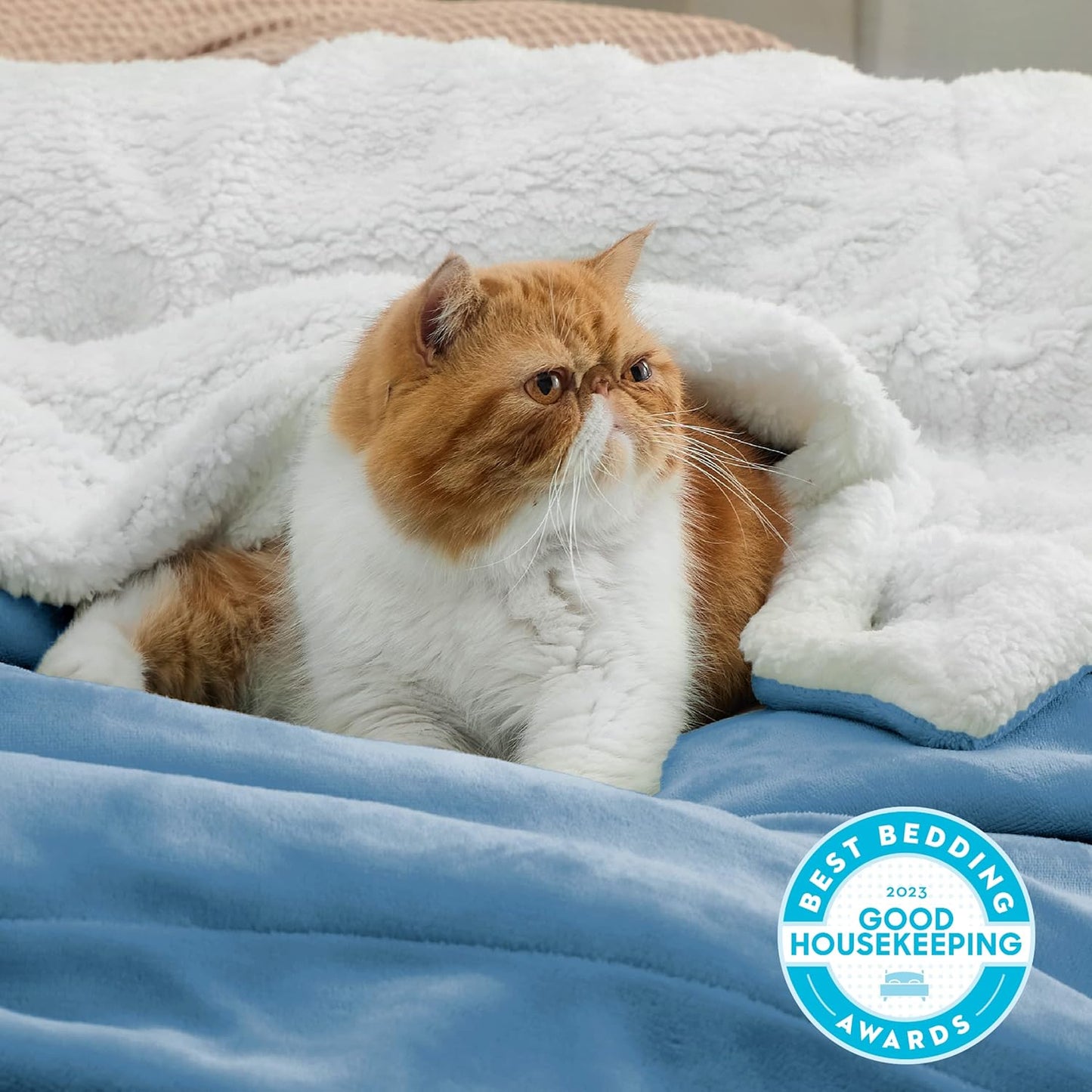 GentleSoft Sherpa Fleece Throw Blanket Twin Size for Couch - Thick and Warm Throw for Women and Men, Soft Fuzzy Plush Blanke for Winter, Grey, 60x80 Inches