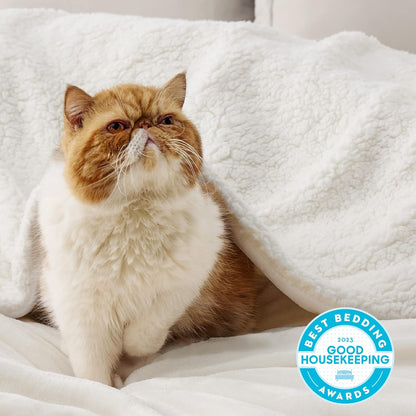 GentleSoft Sherpa Fleece Throw Blanket Twin Size for Couch - Thick and Warm Throw for Women and Men, Soft Fuzzy Plush Blanke for Winter, Grey, 60x80 Inches