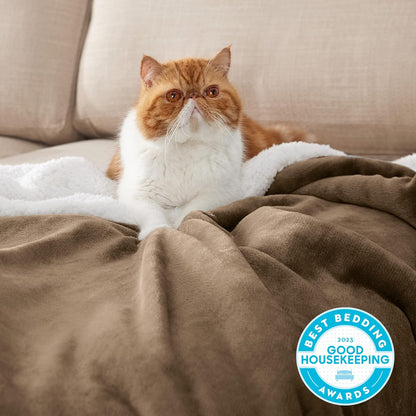 GentleSoft Sherpa Fleece Throw Blanket Twin Size for Couch - Thick and Warm Throw for Women and Men, Soft Fuzzy Plush Blanke for Winter, Grey, 60x80 Inches