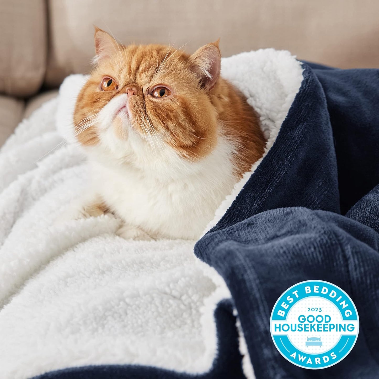 GentleSoft Sherpa Fleece Throw Blanket Twin Size for Couch - Thick and Warm Throw for Women and Men, Soft Fuzzy Plush Blanke for Winter, Grey, 60x80 Inches