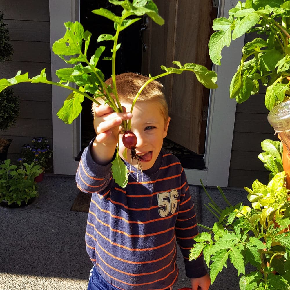 Kids Seed Collection