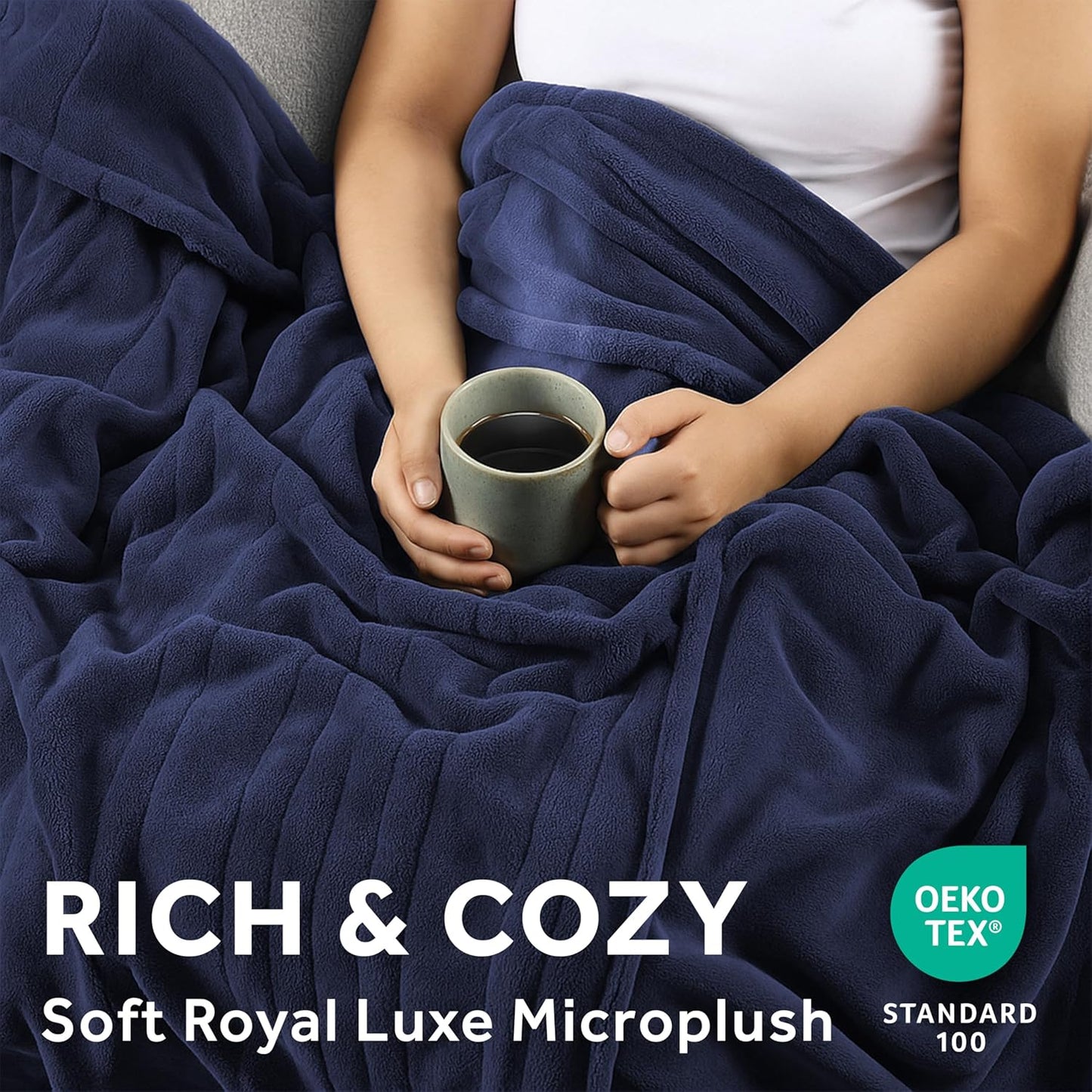 Electric Royal Luxe Microplush Heated Blanket, 12 Heat Settings, 12-Hour Auto Shut-Off, Fast Heating, Warm & Cozy, Machine Washable, Dove Gray Color, Full (84" x 72")