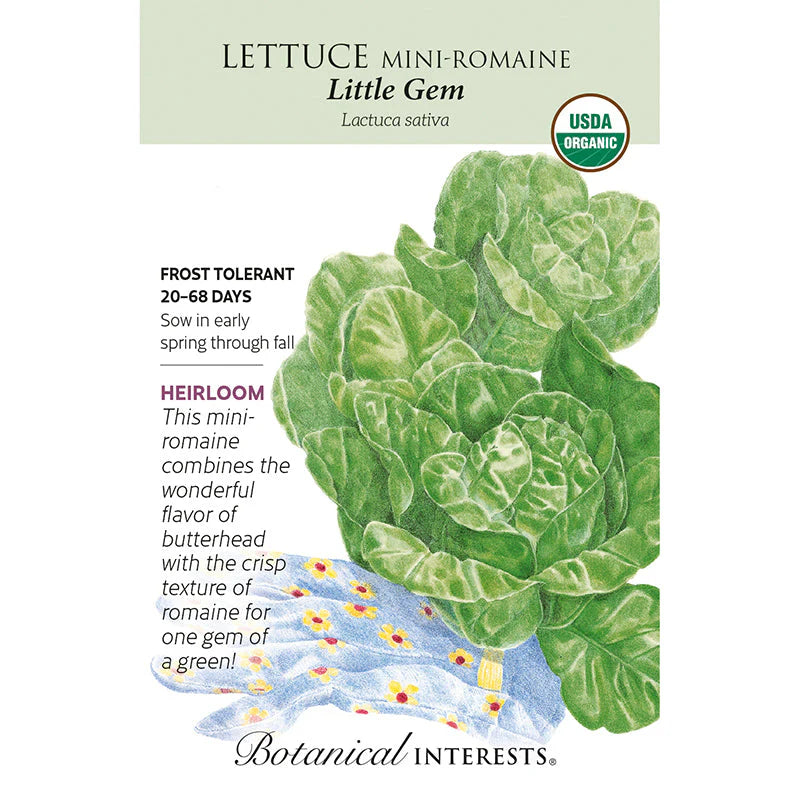 Lettuce Romaine Little Gem Org