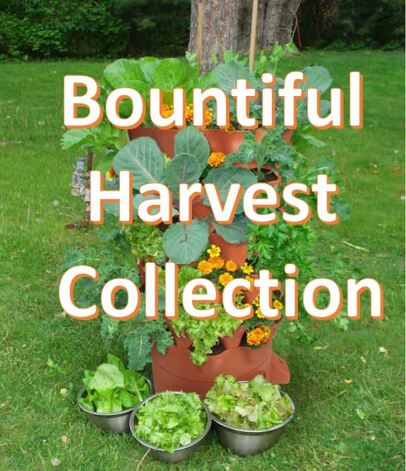 Bountiful Harvest Seed Collection - UPDATED