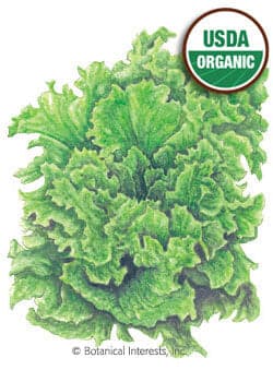 Bountiful Harvest Seed Collection - UPDATED