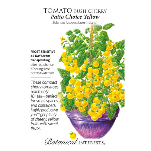 Tomato Cherry Patio Yellow hybrid