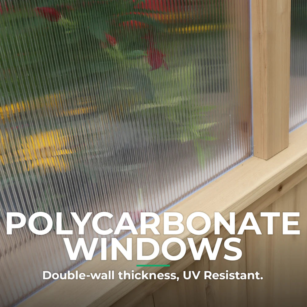 Dr. Earth 706P Organic All Purpose Plant Food