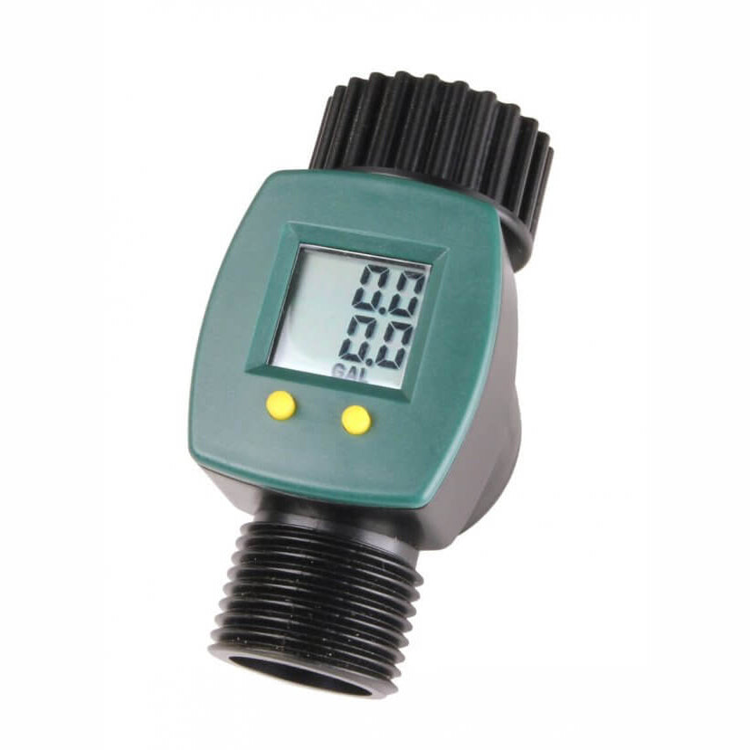 Cilantro/Coriander Santo Org