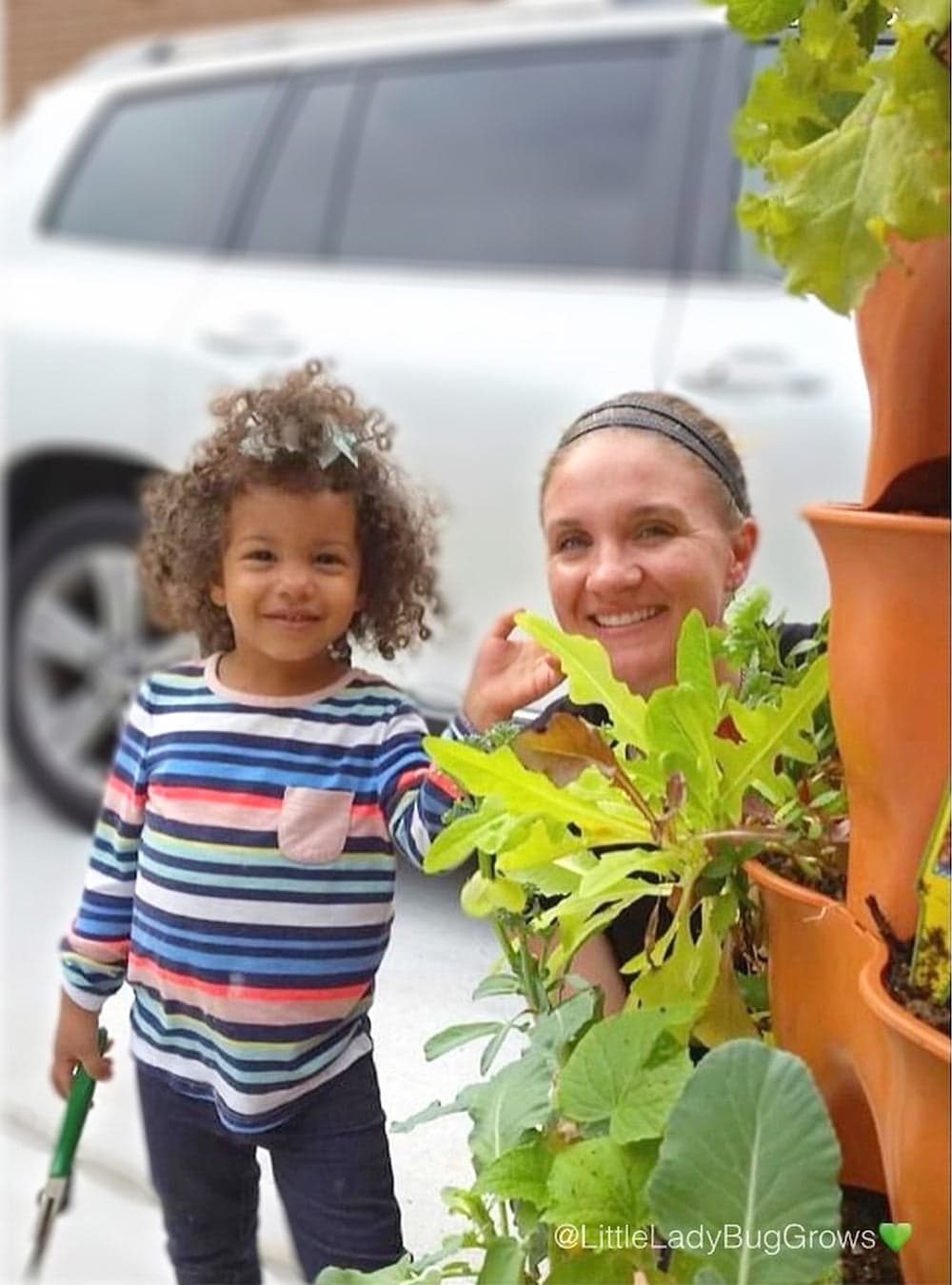 Kids Seed Collection