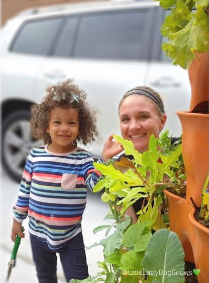 Kids Seed Collection