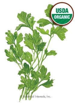 Bountiful Harvest Seed Collection - UPDATED