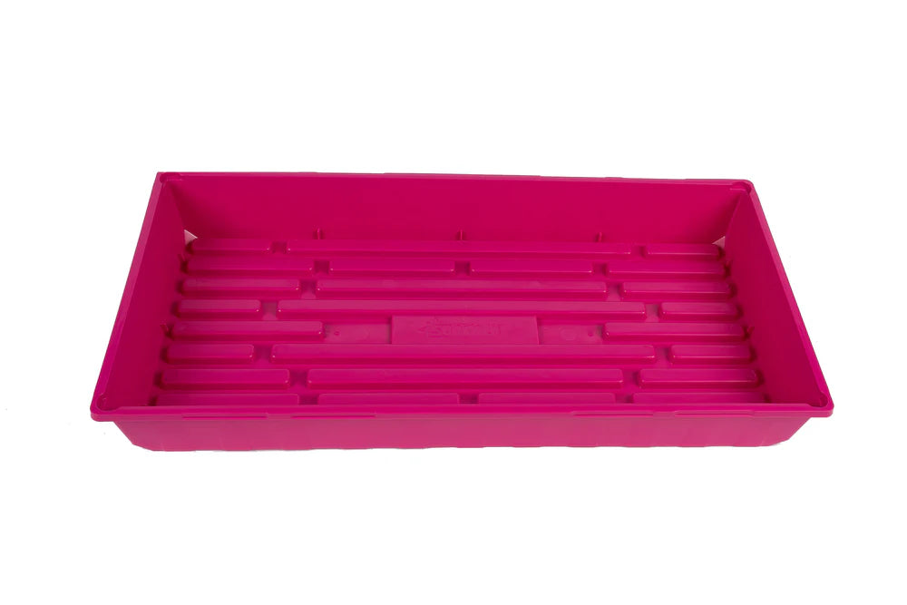 Beet Gourmet Blend Org