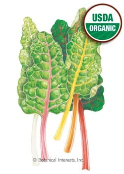 Bountiful Harvest Seed Collection - UPDATED