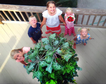 Kids Seed Collection