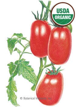 Bountiful Harvest Seed Collection - UPDATED