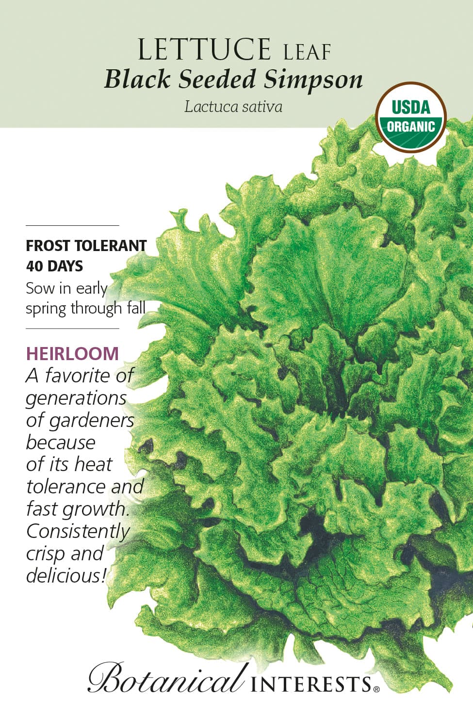 Kids Seed Collection